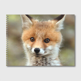 Альбом для рисования с принтом Миленький лисенок в Екатеринбурге, 100% бумага
 | матовая бумага, плотность 200 мг. | Тематика изображения на принте: fox | foxy | животное | звери | лиса | лисенок | лисичка | милая | рыжая | фокс