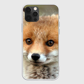 Чехол для iPhone 12 Pro с принтом Миленький лисенок в Екатеринбурге, силикон | область печати: задняя сторона чехла, без боковых панелей | Тематика изображения на принте: fox | foxy | животное | звери | лиса | лисенок | лисичка | милая | рыжая | фокс