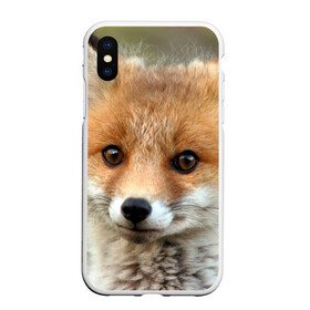 Чехол для iPhone XS Max матовый с принтом Миленький лисенок в Екатеринбурге, Силикон | Область печати: задняя сторона чехла, без боковых панелей | Тематика изображения на принте: fox | foxy | животное | звери | лиса | лисенок | лисичка | милая | рыжая | фокс