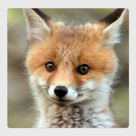 Магнитный плакат 3Х3 с принтом Миленький лисенок в Екатеринбурге, Полимерный материал с магнитным слоем | 9 деталей размером 9*9 см | Тематика изображения на принте: fox | foxy | животное | звери | лиса | лисенок | лисичка | милая | рыжая | фокс