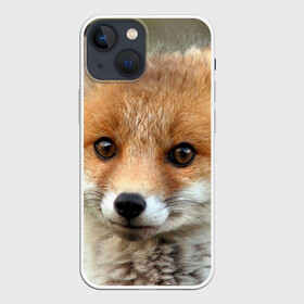 Чехол для iPhone 13 mini с принтом Миленький лисенок в Екатеринбурге,  |  | fox | foxy | животное | звери | лиса | лисенок | лисичка | милая | рыжая | фокс