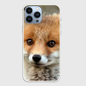 Чехол для iPhone 13 Pro Max с принтом Миленький лисенок в Екатеринбурге,  |  | Тематика изображения на принте: fox | foxy | животное | звери | лиса | лисенок | лисичка | милая | рыжая | фокс