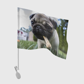 Флаг для автомобиля с принтом Мопс в Екатеринбурге, 100% полиэстер | Размер: 30*21 см | животное | животные | звери | зверь | мопс | мопсы | питомец | питомцы | природа | собака | собаки | щенки | щенок