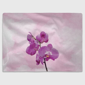 Плед 3D с принтом Нежная орхидея в Екатеринбурге, 100% полиэстер | закругленные углы, все края обработаны. Ткань не мнется и не растягивается | blossom | nature | orchid | женственность | красивые цветы | орхидеи | орхидея | фаленопсис