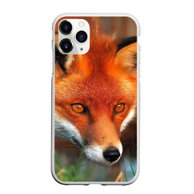 Чехол для iPhone 11 Pro матовый с принтом Лисица охотница в Екатеринбурге, Силикон |  | Тематика изображения на принте: fox | foxy | животное | звери | лиса | лисенок | лисичка | милая | рыжая | фокс