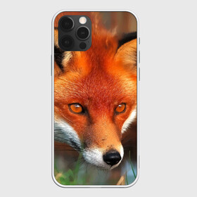Чехол для iPhone 12 Pro с принтом Лисица охотница в Екатеринбурге, силикон | область печати: задняя сторона чехла, без боковых панелей | Тематика изображения на принте: fox | foxy | животное | звери | лиса | лисенок | лисичка | милая | рыжая | фокс