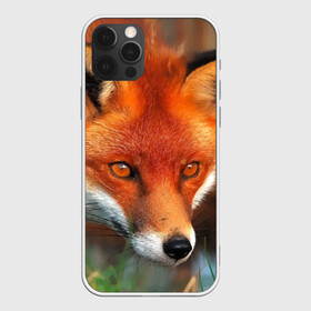 Чехол для iPhone 12 Pro Max с принтом Лисица охотница в Екатеринбурге, Силикон |  | Тематика изображения на принте: fox | foxy | животное | звери | лиса | лисенок | лисичка | милая | рыжая | фокс