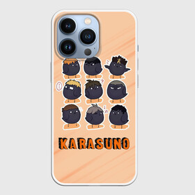 Чехол для iPhone 13 Pro с принтом Вороны школы Карасуно Haikyu в Екатеринбурге,  |  | anime | haikyu | haikyuu | karasuno | manga | аниме | волейбол | волейбольный клуб | ворон | каге | карасуно | кей | куроо | манга | мяч | некома | сатори | сёё | тендо | тобио | хаику | хаикую | хайкью | хината | цукишима | шоё