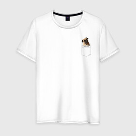 Мужская футболка хлопок с принтом PocketPuppy#3 в Екатеринбурге, 100% хлопок | прямой крой, круглый вырез горловины, длина до линии бедер, слегка спущенное плечо. | cute | dog | puppy | карман | милый | мопс | собака | щенок