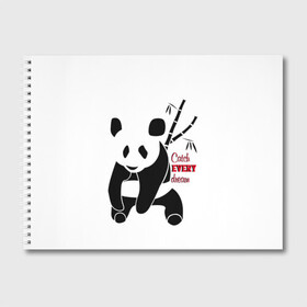 Альбом для рисования с принтом Панда и сон в Екатеринбурге, 100% бумага
 | матовая бумага, плотность 200 мг. | Тематика изображения на принте: животные | звери | лень | медведь | отдых | панда | природа | сон | усталость