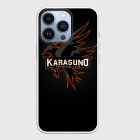 Чехол для iPhone 13 Pro с принтом Старшая школа Карасуно в Екатеринбурге,  |  | anime | haikyu | haikyuu | karasuno | karasuno high | manga | аниме | волейбол | волейбольный клуб | ворон | вороны | карасуно | крылья | лого | логотип | манга | надпись | птица | старшая школа | хаику | хаикую