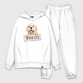 Мужской костюм хлопок OVERSIZE с принтом Dog Wanted в Екатеринбурге,  |  | cute | dog | wanted | woof | гав | забавный | пес | песель | песик | смешной | собака | собачка | щенок