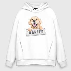 Мужское худи Oversize хлопок с принтом Dog Wanted в Екатеринбурге, френч-терри — 70% хлопок, 30% полиэстер. Мягкий теплый начес внутри —100% хлопок | боковые карманы, эластичные манжеты и нижняя кромка, капюшон на магнитной кнопке | Тематика изображения на принте: cute | dog | wanted | woof | гав | забавный | пес | песель | песик | смешной | собака | собачка | щенок