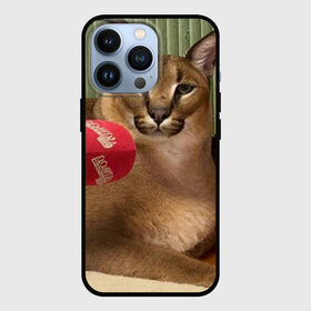 Чехол для iPhone 13 Pro с принтом Шлёпа в Екатеринбурге,  |  | floppa | большой | военный | каракал | кот | преступник | русский | шлёпа