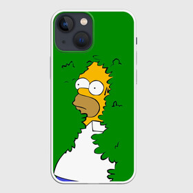 Чехол для iPhone 13 mini с принтом Мем с Гомером в Екатеринбурге,  |  | gomer | mem | simpsons | the simpson | гомер | мем | мемы | мульт | мультфильм | симпсоны