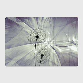 Магнитный плакат 3Х2 с принтом Одуванчики в Екатеринбурге, Полимерный материал с магнитным слоем | 6 деталей размером 9*9 см | волны | мятое | одуванчик | одуванчики | пух | серый фон | цветок