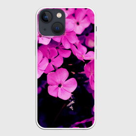 Чехол для iPhone 13 mini с принтом Цветочный Альянс в Екатеринбурге,  |  | краски | лес. | отдых | природа | сад | свежесть | спокойствие | цветочки