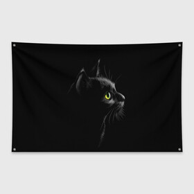 Флаг-баннер с принтом Черный кот в Екатеринбурге, 100% полиэстер | размер 67 х 109 см, плотность ткани — 95 г/м2; по краям флага есть четыре люверса для крепления | взгляд | глаза | киса | киска | кот | котик | котяра | профиль | пушистый | усы