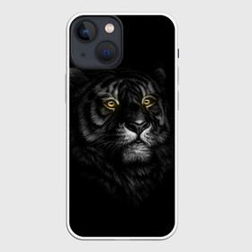 Чехол для iPhone 13 mini с принтом Тигр в Екатеринбурге,  |  | взгляд | глаза | киса | киска | кот | котик | котяра | профиль | пушистый | тигр | усы