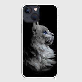 Чехол для iPhone 13 mini с принтом Голубоглазый гот в Екатеринбурге,  |  | белоснежный | взгляд | глаза | голубоглазый | киса | киска | кот | котик | котяра | профиль | пушистый | усы