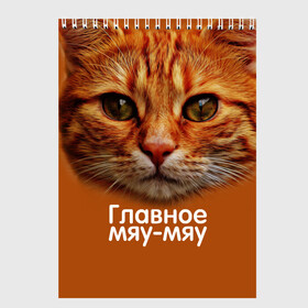 Скетчбук с принтом ГЛАВНОЕ МЯУ-МЯУ в Екатеринбурге, 100% бумага
 | 48 листов, плотность листов — 100 г/м2, плотность картонной обложки — 250 г/м2. Листы скреплены сверху удобной пружинной спиралью | главное мяу мяу | животные | кот | кошка | мордочка | мяу | рыжий