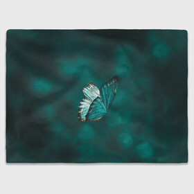 Плед 3D с принтом Синяя бабочка в Екатеринбурге, 100% полиэстер | закругленные углы, все края обработаны. Ткань не мнется и не растягивается | Тематика изображения на принте: butterfly | бабочка | летит | магия | порхает | синяя