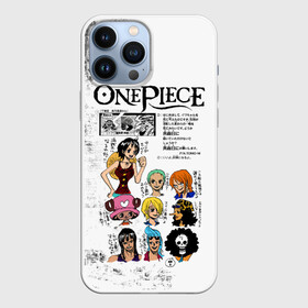 Чехол для iPhone 13 Pro Max с принтом Пираты Соломенной Шляпы One Piece в женском образе в Екатеринбурге,  |  | Тематика изображения на принте: anime | manga | monkey d. luffy | one piece | аниме | большой куш | ван пис | вон пис | гол д. роджер | кайдо | король пиратов | луфи | луффи | манга | манки д. луффи | нами | нико робин | пират | портгас д. эйс | ророноа зоро