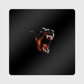 Магнит виниловый Квадрат с принтом РОТВЕЙЛЕР в Екатеринбурге, полимерный материал с магнитным слоем | размер 9*9 см, закругленные углы | animal | dog | evil | fury | домашние | животные | звери | злой | зубы | клыки | пасть | пес | ротвейлер | собака | ярость