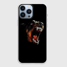 Чехол для iPhone 13 Pro Max с принтом РОТВЕЙЛЕР в Екатеринбурге,  |  | animal | dog | evil | fury | домашние | животные | звери | злой | зубы | клыки | пасть | пес | ротвейлер | собака | ярость