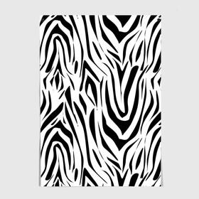 Постер с принтом Черно-белая зебра в Екатеринбурге, 100% бумага
 | бумага, плотность 150 мг. Матовая, но за счет высокого коэффициента гладкости имеет небольшой блеск и дает на свету блики, но в отличии от глянцевой бумаги не покрыта лаком | зебра | модный | молодежный | популярный | современный | тигровый | тренд | черно белый