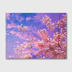 Альбом для рисования с принтом Сакура в Екатеринбурге, 100% бумага
 | матовая бумага, плотность 200 мг. | весна | дерево | деревья | лепестки | лес | лето | листья | май | на каждый день | небо | облака | осень | поле | розовый цветок | сакура | солнце | тропики | флора | цветок | цветочки | цветы