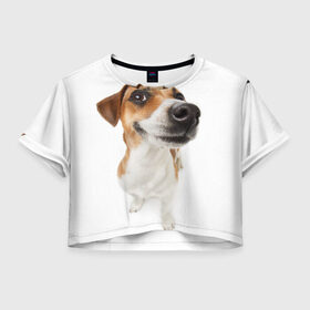Женская футболка Crop-top 3D с принтом Собака в Екатеринбурге, 100% полиэстер | круглая горловина, длина футболки до линии талии, рукава с отворотами | dog | джек | джек рассел | джек рассел терьер | дог | домашние животные | рассел | рассел терьер | собака | собаки | терьер