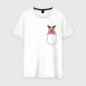 Мужская футболка хлопок с принтом Шлёпа в кармане в Екатеринбурге, 100% хлопок | прямой крой, круглый вырез горловины, длина до линии бедер, слегка спущенное плечо. | Тематика изображения на принте: flopa | floppa | каракал | кот мем | мем с котом | русский кот | шлёпа