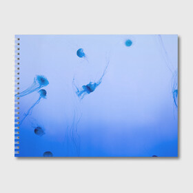 Альбом для рисования с принтом МЕДУЗЫ | ГРАДИЕНТ в Екатеринбурге, 100% бумага
 | матовая бумага, плотность 200 мг. | gradient | абстракция | амбре | вода | голубая | голубое | градиент | градиент и ничего лишнего | градиенты | медуза | море | на каждый день | океан | синее | синий | синяя | текстура