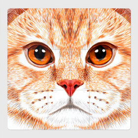 Магнитный плакат 3Х3 с принтом Мур Мяу в Екатеринбурге, Полимерный материал с магнитным слоем | 9 деталей размером 9*9 см | Тематика изображения на принте: cat | kitty | pussycat | киса | кот | кошечка | кошка