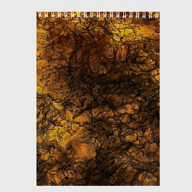 Скетчбук с принтом Абстрактный узор текстура в Екатеринбурге, 100% бумага
 | 48 листов, плотность листов — 100 г/м2, плотность картонной обложки — 250 г/м2. Листы скреплены сверху удобной пружинной спиралью | каменный узор | камень | коричневый | маскировочный | милитари | мраморный | темный оранжевый | черный и оранжевый