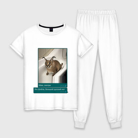 Женская пижама хлопок с принтом Шлёпа в Екатеринбурге, 100% хлопок | брюки и футболка прямого кроя, без карманов, на брюках мягкая резинка на поясе и по низу штанин | каракал | кот | мемы | русский кот | рысь | шлёпа
