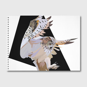 Альбом для рисования с принтом Сова в деле в Екатеринбурге, 100% бумага
 | матовая бумага, плотность 200 мг. | арт | дикие животные | дикие звери | дикие птицы | животное | животные | лягушка | охота | природа | птица | птицы | рисунок | сова