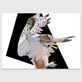 Поздравительная открытка с принтом Сова в деле в Екатеринбурге, 100% бумага | плотность бумаги 280 г/м2, матовая, на обратной стороне линовка и место для марки
 | арт | дикие животные | дикие звери | дикие птицы | животное | животные | лягушка | охота | природа | птица | птицы | рисунок | сова