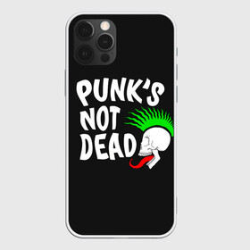 Чехол для iPhone 12 Pro Max с принтом Веселый панк в Екатеринбурге, Силикон |  | alternative | music | punk | punks not dead | rock | альтернатива | музыка | панк | панки не умерают | панкс нот дэд | рок