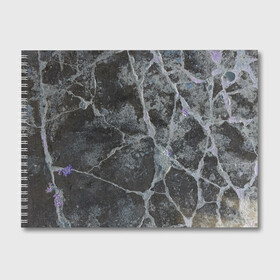 Альбом для рисования с принтом Лунный камень в Екатеринбурге, 100% бумага
 | матовая бумага, плотность 200 мг. | art | бетон | булыжник | луна | текстура | трещина