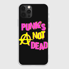 Чехол для iPhone 12 Pro с принтом Панк анархия в Екатеринбурге, силикон | область печати: задняя сторона чехла, без боковых панелей | alternative | music | punk | punks not dead | rock | альтернатива | музыка | панк | панки не умерают | панкс нот дэд | рок