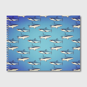 Альбом для рисования с принтом Акулы Паттерн в Екатеринбурге, 100% бумага
 | матовая бумага, плотность 200 мг. | shark | акулы | иллюстрация | морские жители | морские обитатели | паттерн | рисунок | рыбы