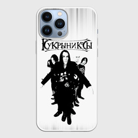 Чехол для iPhone 13 Pro Max с принтом Группа Кукрыниксы в Екатеринбурге,  |  | gorshenev | kukryniksy | rock group | алексей горшенёв | альтернативный | вагон | горшенев | горшок | готик | дмитрий оганян | игорь воронов | кукрыниксы | михаил фомин | панк | панкрок | постпанк | рок группа