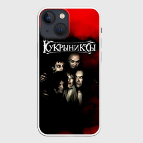 Чехол для iPhone 13 mini с принтом Группа Кукрыниксы в Екатеринбурге,  |  | gorshenev | kukryniksy | rock group | алексей горшенёв | альтернативный | вагон | горшенев | горшок | готик | дмитрий оганян | игорь воронов | кукрыниксы | михаил фомин | панк | панкрок | постпанк | рок группа