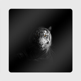 Магнит виниловый Квадрат с принтом БЕЛЫЙ ТИГР в Екатеринбурге, полимерный материал с магнитным слоем | размер 9*9 см, закругленные углы | animal | art | beast | cat | hunter | picture | power | strong | tiger | white | белый | благородный | гордый | дикие | животные | звери | кошки | охотник | тигр | хищник | царь
