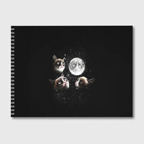 Альбом для рисования с принтом ГРУСТНЫЕ ЛУННЫЕ КОТЫ в Екатеринбурге, 100% бумага
 | матовая бумага, плотность 200 мг. | cat | cosmo | face | memes | night | sky | stars | голова | звезды | интернет | космос | коты | кошки | лицо | луна | мем | ночь | отражение | прикол | рисунок
