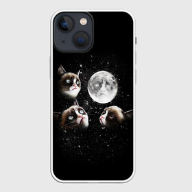 Чехол для iPhone 13 mini с принтом ГРУСТНЫЕ ЛУННЫЕ КОТЫ в Екатеринбурге,  |  | cat | cosmo | face | memes | night | sky | stars | голова | звезды | интернет | космос | коты | кошки | лицо | луна | мем | ночь | отражение | прикол | рисунок