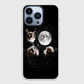 Чехол для iPhone 13 Pro с принтом ГРУСТНЫЕ ЛУННЫЕ КОТЫ в Екатеринбурге,  |  | cat | cosmo | face | memes | night | sky | stars | голова | звезды | интернет | космос | коты | кошки | лицо | луна | мем | ночь | отражение | прикол | рисунок