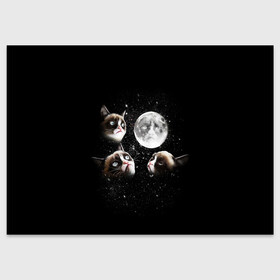 Поздравительная открытка с принтом ГРУСТНЫЕ ЛУННЫЕ КОТЫ в Екатеринбурге, 100% бумага | плотность бумаги 280 г/м2, матовая, на обратной стороне линовка и место для марки
 | cat | cosmo | face | memes | night | sky | stars | голова | звезды | интернет | космос | коты | кошки | лицо | луна | мем | ночь | отражение | прикол | рисунок